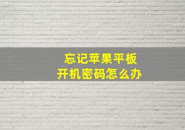 忘记苹果平板开机密码怎么办