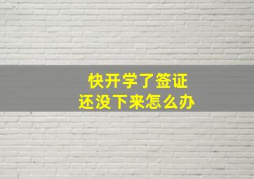 快开学了签证还没下来怎么办