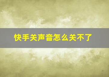 快手关声音怎么关不了