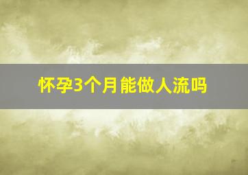 怀孕3个月能做人流吗