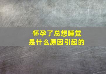 怀孕了总想睡觉是什么原因引起的