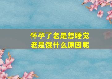 怀孕了老是想睡觉老是饿什么原因呢