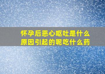 怀孕后恶心呕吐是什么原因引起的呢吃什么药