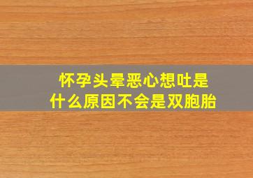 怀孕头晕恶心想吐是什么原因不会是双胞胎