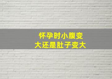 怀孕时小腹变大还是肚子变大