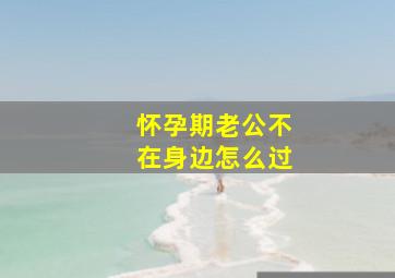 怀孕期老公不在身边怎么过