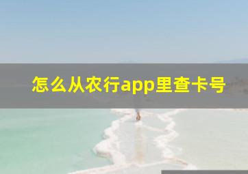 怎么从农行app里查卡号