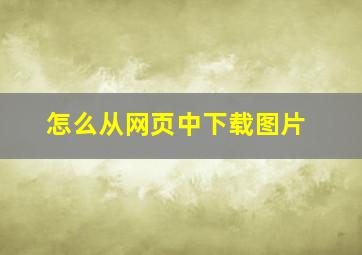 怎么从网页中下载图片