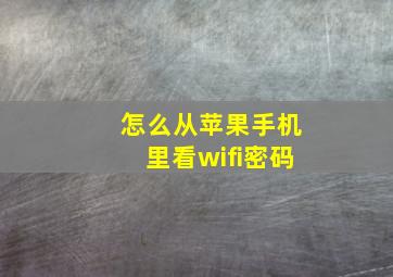 怎么从苹果手机里看wifi密码