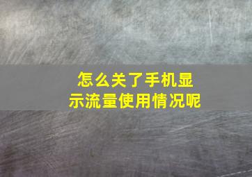 怎么关了手机显示流量使用情况呢