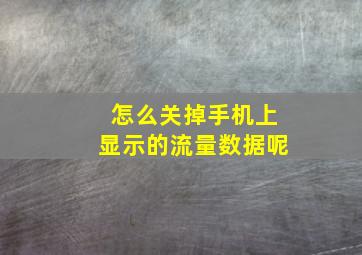 怎么关掉手机上显示的流量数据呢