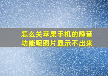 怎么关苹果手机的静音功能呢图片显示不出来