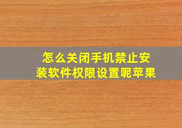 怎么关闭手机禁止安装软件权限设置呢苹果