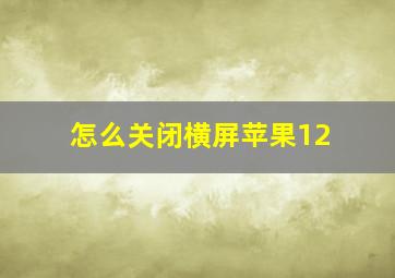 怎么关闭横屏苹果12