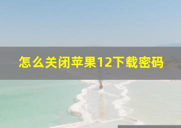 怎么关闭苹果12下载密码