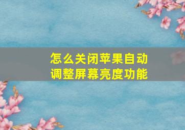 怎么关闭苹果自动调整屏幕亮度功能