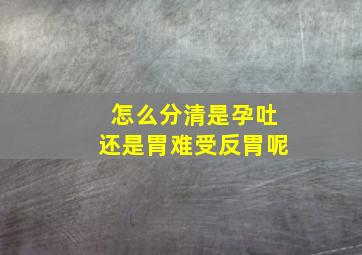 怎么分清是孕吐还是胃难受反胃呢