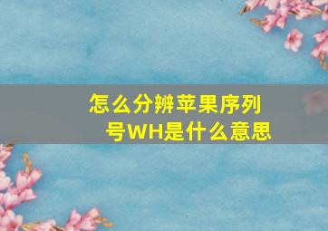 怎么分辨苹果序列号WH是什么意思