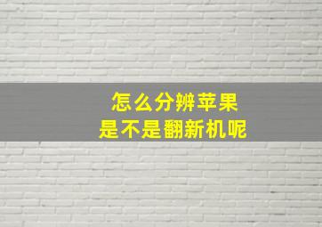 怎么分辨苹果是不是翻新机呢