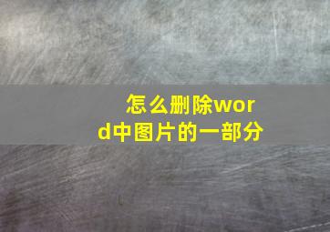 怎么删除word中图片的一部分