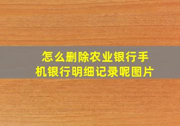 怎么删除农业银行手机银行明细记录呢图片