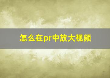 怎么在pr中放大视频