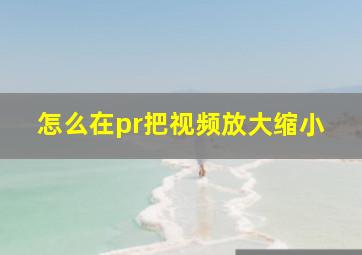 怎么在pr把视频放大缩小