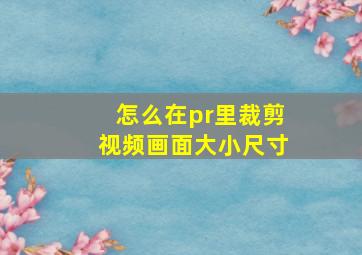 怎么在pr里裁剪视频画面大小尺寸