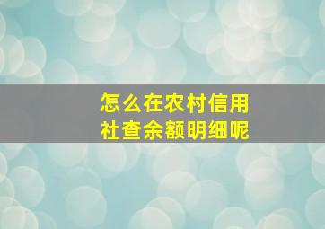 怎么在农村信用社查余额明细呢