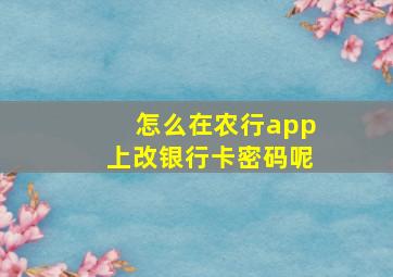 怎么在农行app上改银行卡密码呢