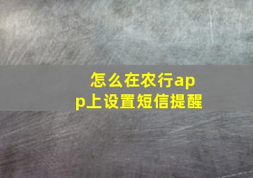 怎么在农行app上设置短信提醒