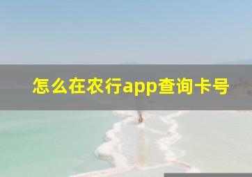 怎么在农行app查询卡号