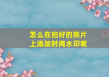 怎么在拍好的照片上添加时间水印呢