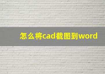 怎么将cad截图到word