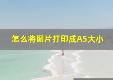 怎么将图片打印成A5大小