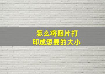 怎么将图片打印成想要的大小