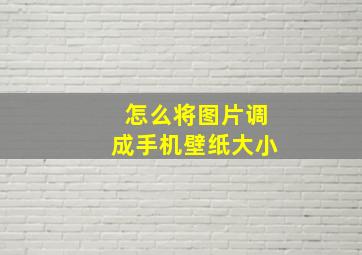 怎么将图片调成手机壁纸大小