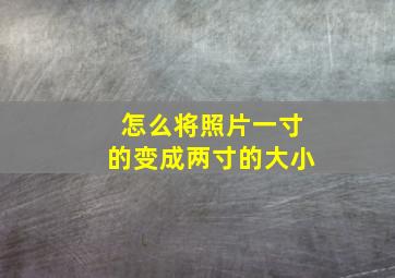 怎么将照片一寸的变成两寸的大小