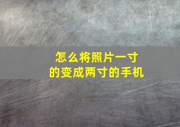 怎么将照片一寸的变成两寸的手机