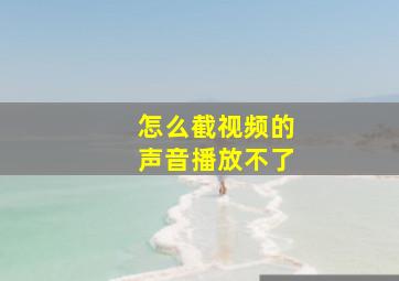 怎么截视频的声音播放不了