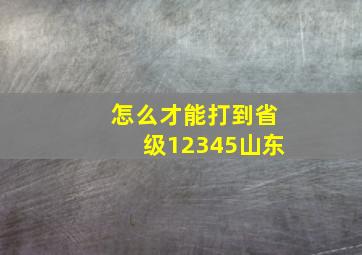 怎么才能打到省级12345山东