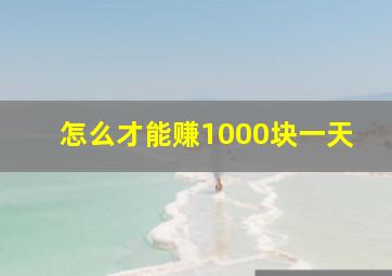 怎么才能赚1000块一天