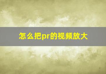 怎么把pr的视频放大