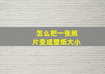 怎么把一张照片变成壁纸大小