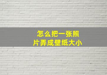 怎么把一张照片弄成壁纸大小