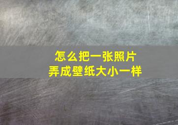 怎么把一张照片弄成壁纸大小一样