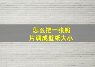 怎么把一张照片调成壁纸大小