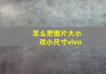 怎么把图片大小改小尺寸vivo