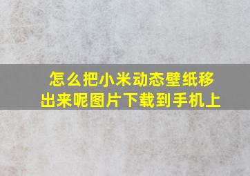 怎么把小米动态壁纸移出来呢图片下载到手机上