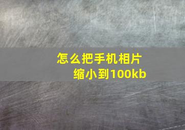 怎么把手机相片缩小到100kb